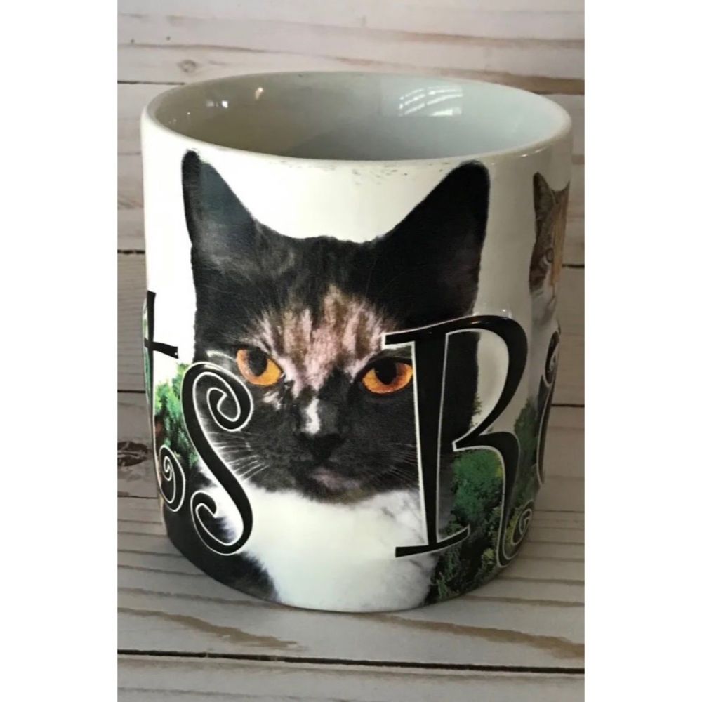 Americanware Cats Rule 18 oz Large Coffee Mug Raised Lettering